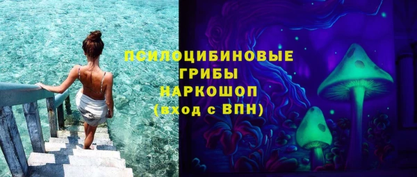 круглые Абаза