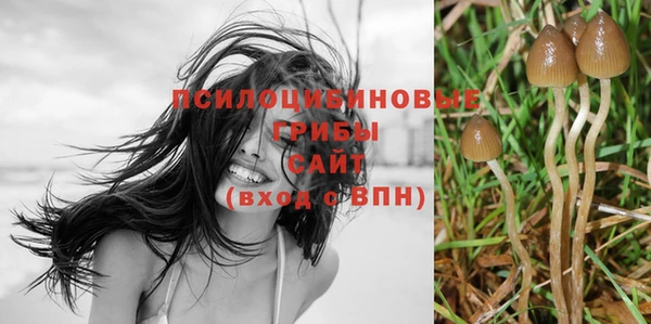 круглые Абаза