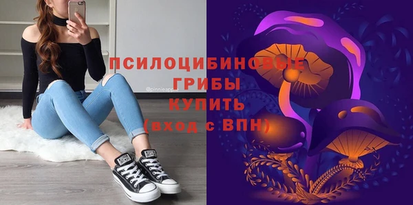 круглые Абаза